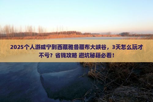 咸宁到西藏雅鲁藏布大峡谷个人游