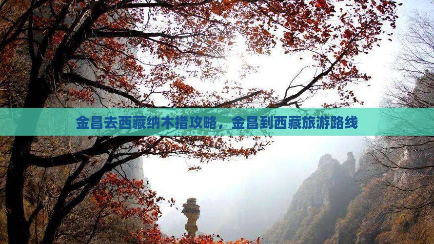 金昌去西藏纳木措攻略