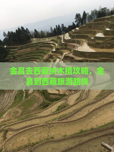 金昌去西藏纳木措攻略