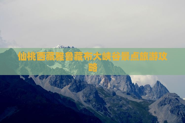仙桃去西藏雅鲁藏布大峡谷景点