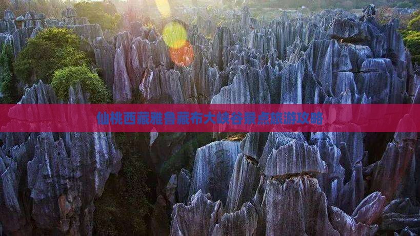 仙桃去西藏雅鲁藏布大峡谷景点