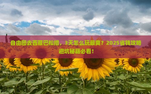 盘锦到西藏巴松措自由团