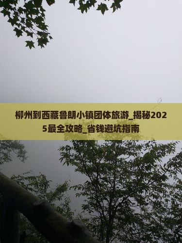 柳州到西藏鲁朗小镇团体旅游