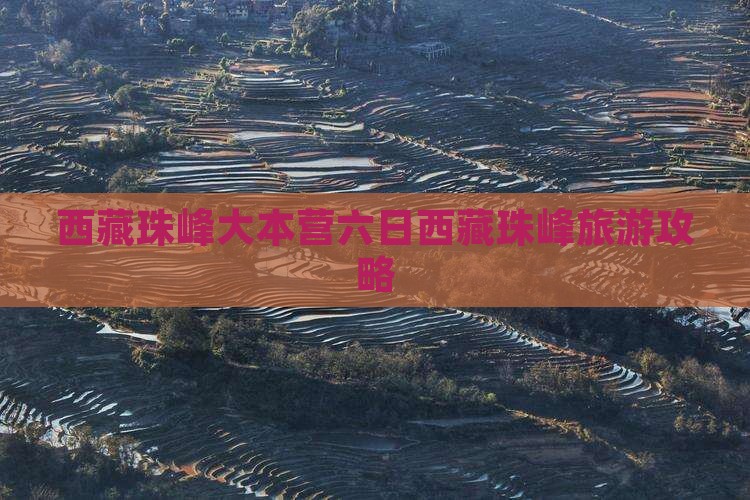 清明节去西藏珠峰大本营六日游