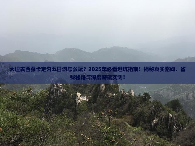 大理去西藏卡定沟五日游