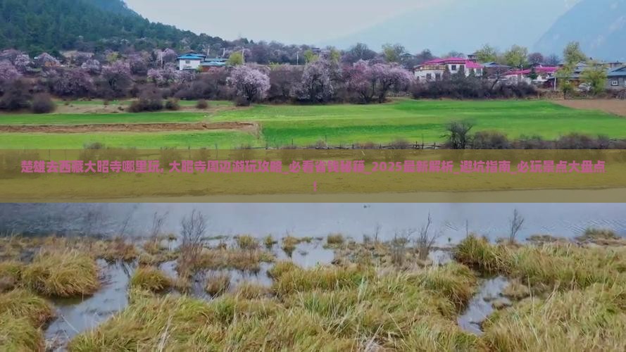 楚雄去西藏大昭寺哪里玩