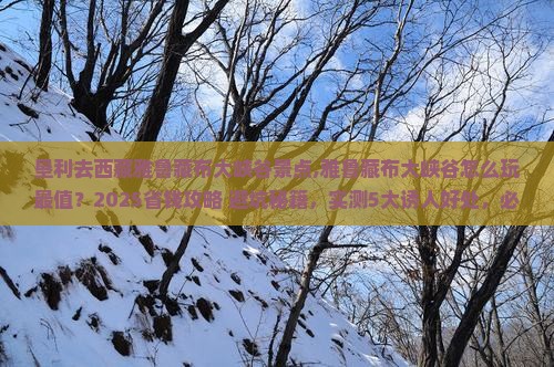 垦利去西藏雅鲁藏布大峡谷景点