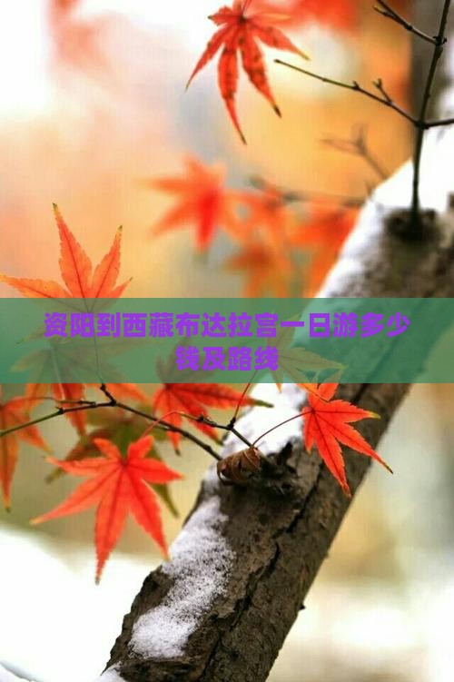 资阳到西藏布达拉宫一日