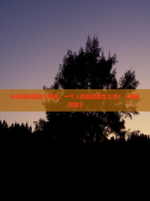 抚顺去西藏大昭寺个人游