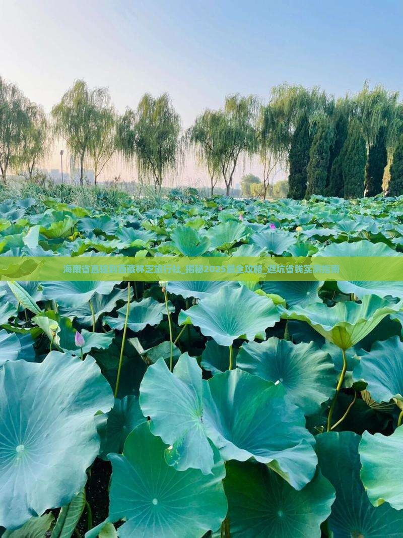 海南省直辖到西藏林芝旅行社