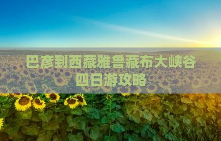 巴彦倬尔到西藏雅鲁藏布大峡谷四日游