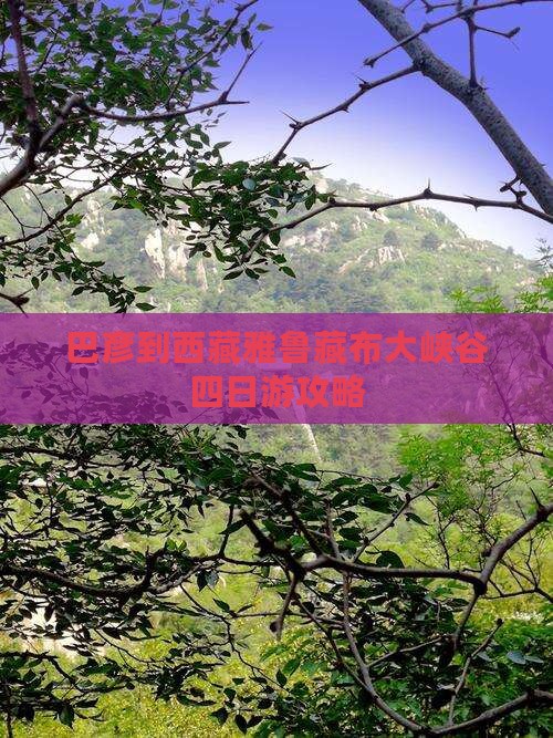 巴彦倬尔到西藏雅鲁藏布大峡谷四日游
