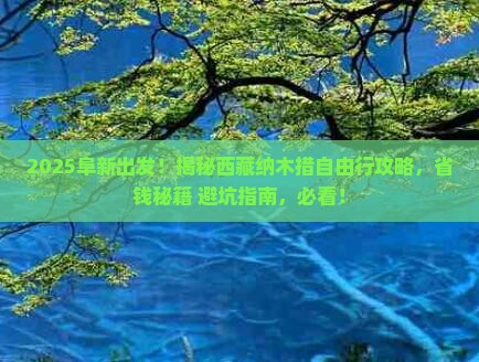 阜新到西藏纳木措自由团