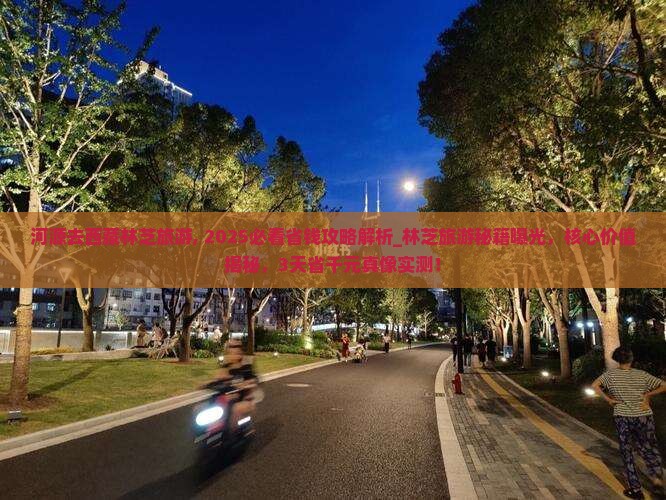 河源去西藏林芝旅游