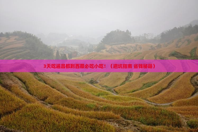 昌都到西藏旅游小吃