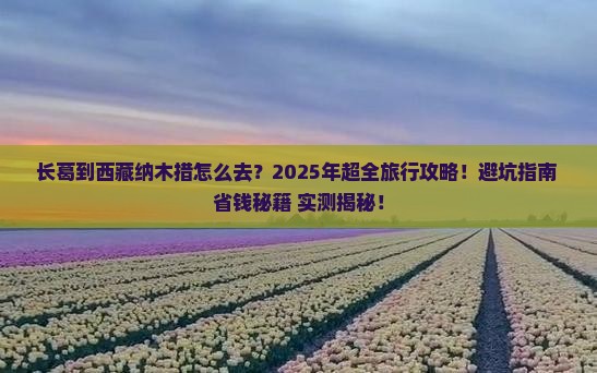 长葛到西藏纳木措旅行社