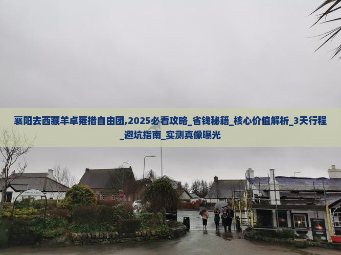 襄阳去西藏羊卓雍措自由团