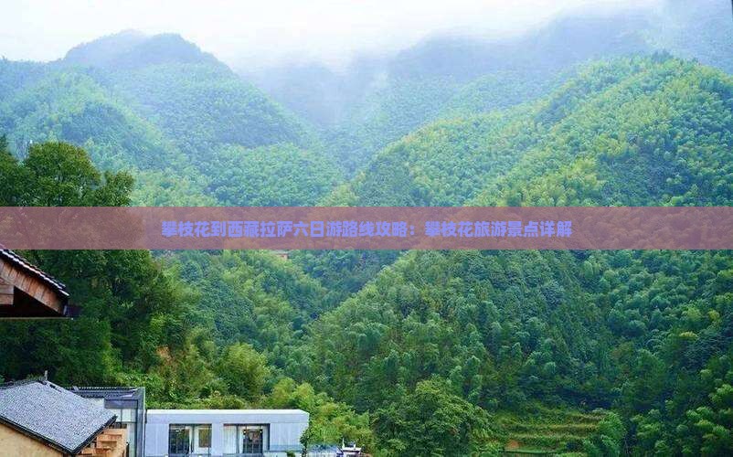 攀枝花到西藏拉萨六日游