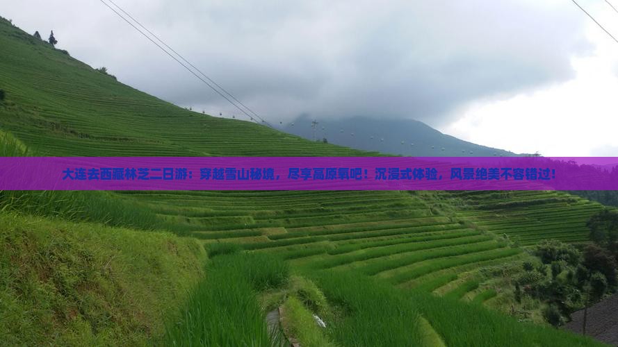 大连去西藏林芝二日游