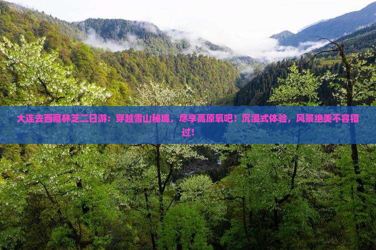 大连去西藏林芝二日游