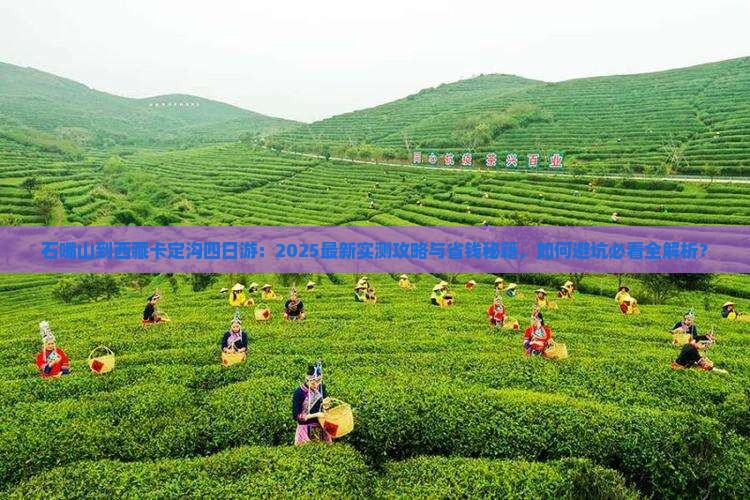 石嘴山到西藏卡定沟四日游