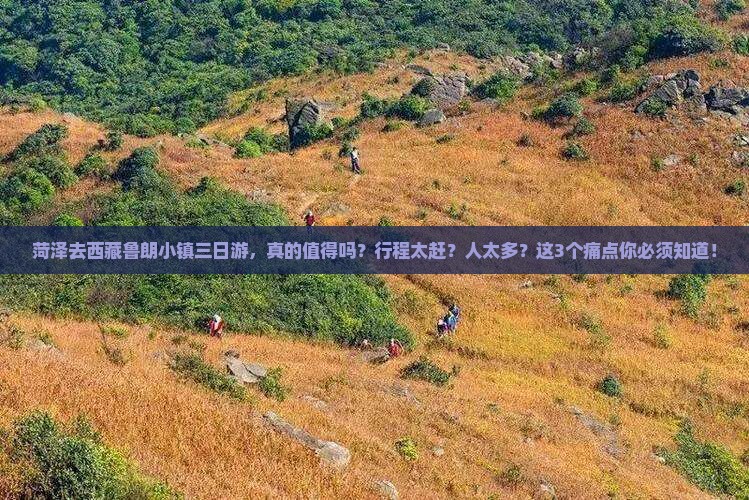 菏泽去西藏鲁朗小镇三日游