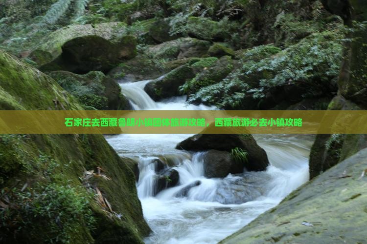 石家庄去西藏鲁朗小镇团体旅游