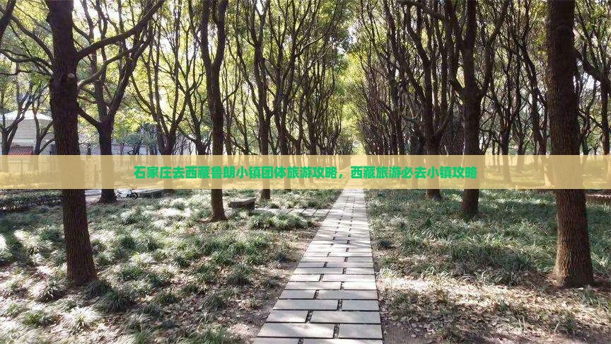 石家庄去西藏鲁朗小镇团体旅游