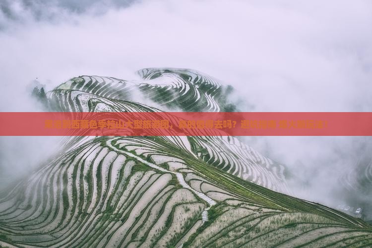 果洛到西藏色季拉山大型旅游团
