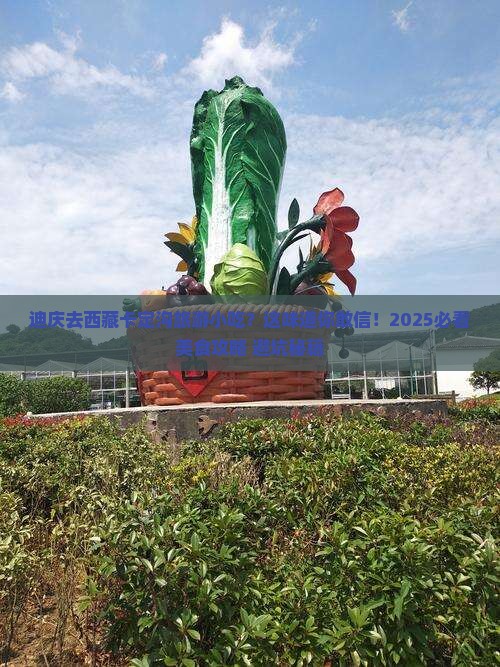 迪庆去西藏卡定沟旅游小吃