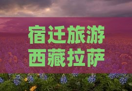 宿迁去西藏布达拉宫门票