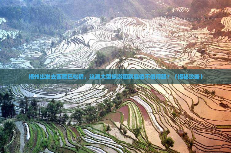 梧州去西藏巴松措大型旅游团