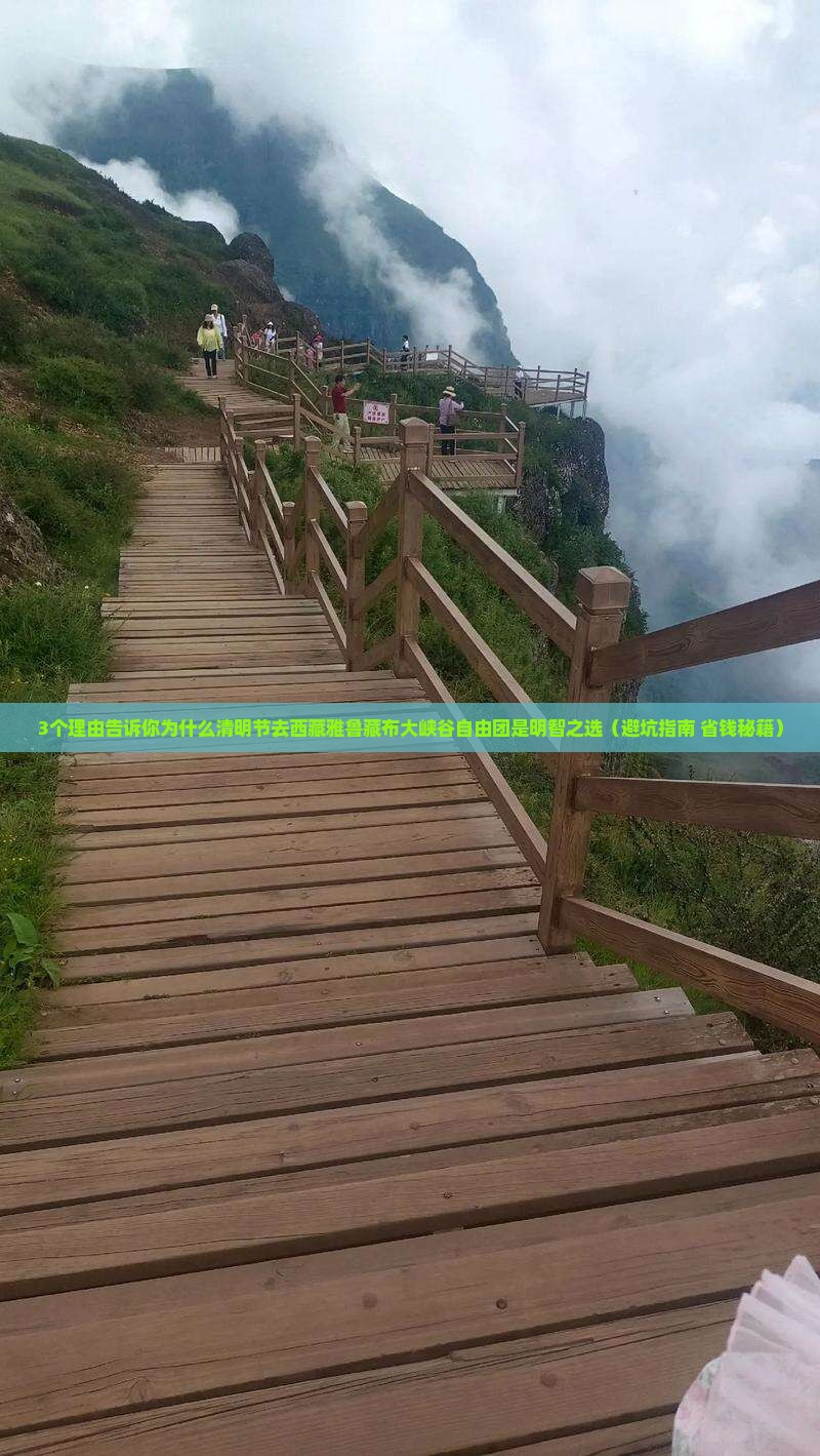 清明节去西藏雅鲁藏布大峡谷自由团