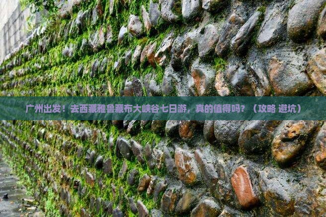 广州去西藏雅鲁藏布大峡谷七日游
