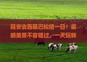 延安去西藏巴松措一日