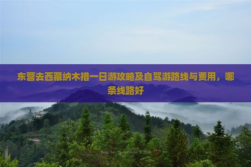 东营去西藏纳木措一日