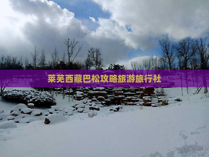莱芜去西藏巴松措旅行社