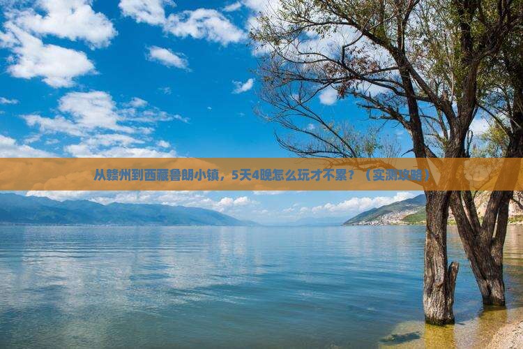 赣州到西藏鲁朗小镇旅行社