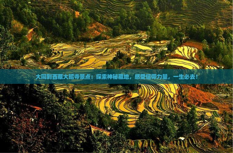 大同到西藏大昭寺景点