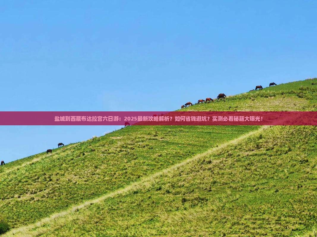 盐城到西藏布达拉宫六日游