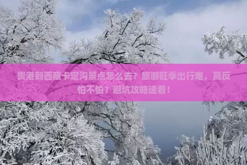 贵港到西藏卡定沟景点