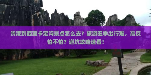 贵港到西藏卡定沟景点