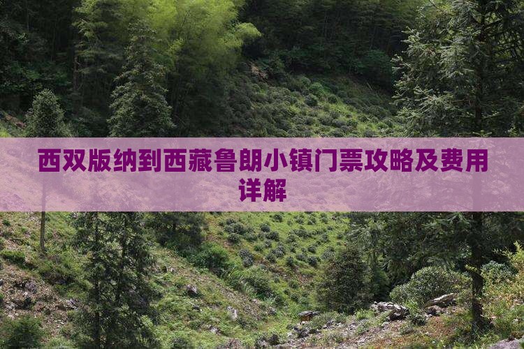 西双版纳到西藏鲁朗小镇门票