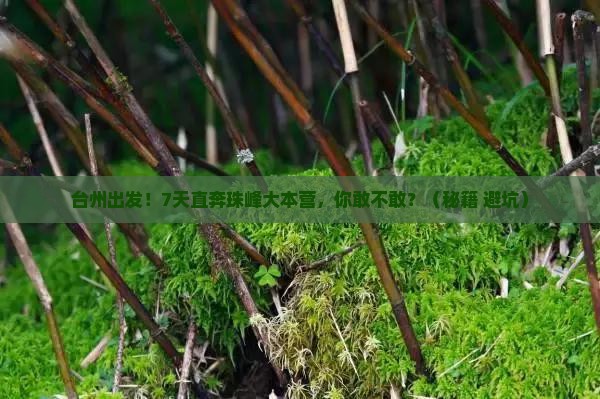 台州去西藏珠峰大本营七日游