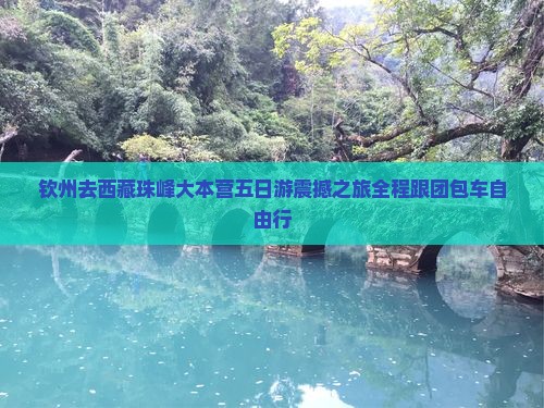钦州去西藏珠峰大本营五日游