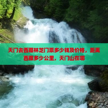 天门去西藏林芝门票