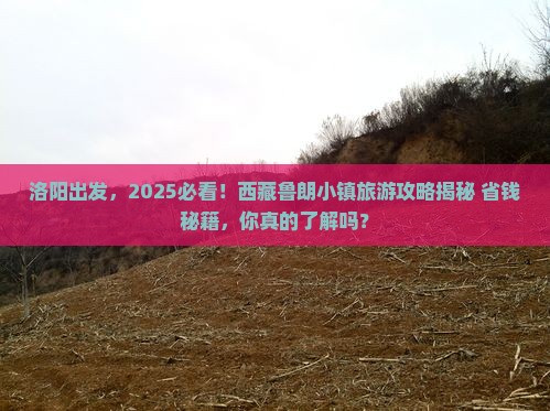 洛阳到西藏鲁朗小镇旅游