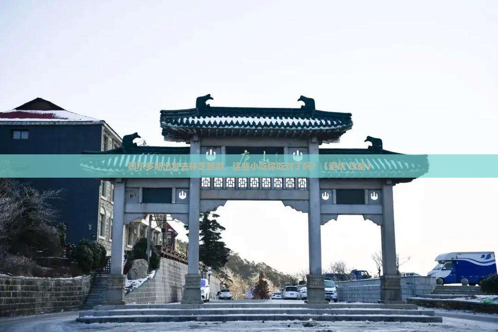 鄂尔多斯去西藏林芝旅游小吃