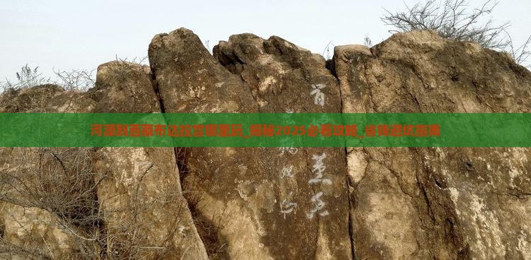 河源到西藏布达拉宫哪里玩