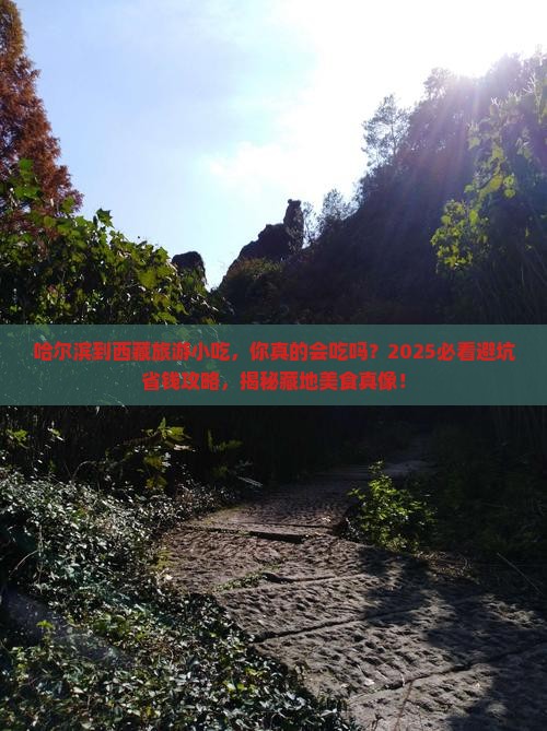 哈尔滨到西藏旅游小吃